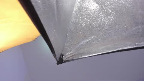 lexy and mia online show from 01/18/26, 02:48