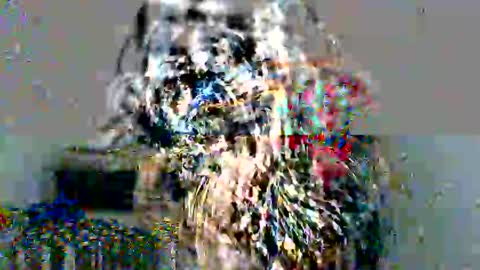 lolita online show from 12/17/24, 05:04