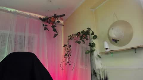   online show from 12/14/24, 02:34