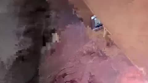 lezerae45791709 online show from 03/07/26, 09:12