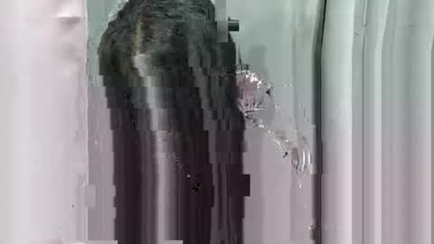 Snapshot of lhara_morena chatting on 12/18/25, 12:11 lhara_morena online show from 12/18/25, 12:11