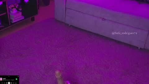 Snapshot of liaa_rodriguezz chatting on 02/19/25, 02:55 Liaa online show from 02/19/25, 02:55