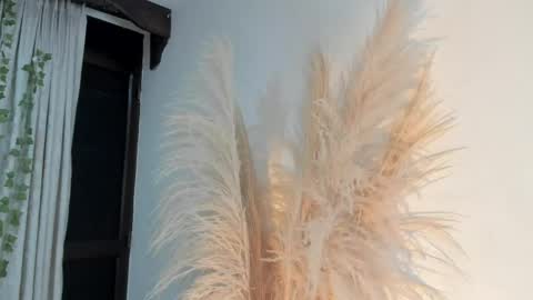 Lia online show from 04/16/26, 03:29