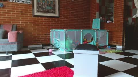 Snapshot of liarouse04 chatting on 04/11/26, 01:48 Liarouse04 online show from 04/11/26, 01:48