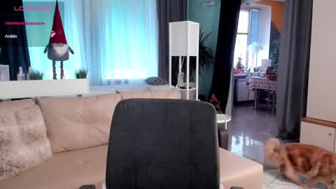 Libby online show from 01/03/25, 11:14