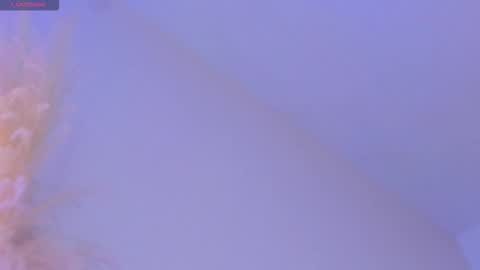 Snapshot of liiamluna chatting on 11/19/25, 09:09 Liiam Luna online show from 11/19/25, 09:09