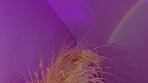 Snapshot of liiamluna chatting on 01/17/26, 09:14 Liiam Luna online show from 01/17/26, 09:14