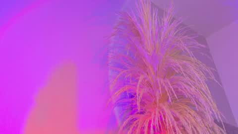 Liiam Luna online show from 04/03/26, 10:02