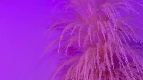 Liiam Luna online show from 05/06/26, 11:04