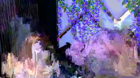 Brittany online show from 12/03/25, 02:48