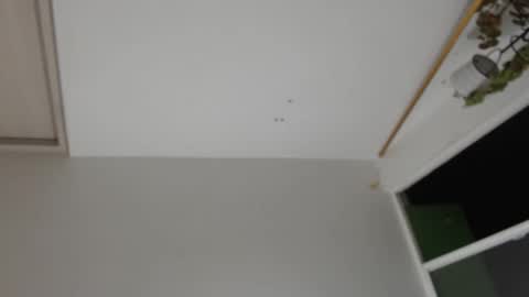 Snapshot of liiz5 chatting on 12/31/24, 01:26 liiz5 online show from 12/31/24, 01:26