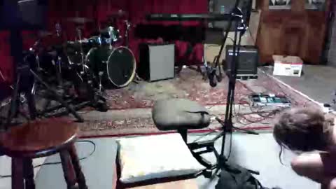 like2dildo online show from 02/13/26, 04:36