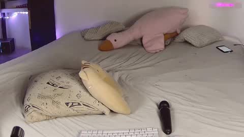 Snapshot of lil_nessa chatting on 02/18/25, 05:31 Nessa Greyrat   if u like me tip 25 tk and put  online show from 02/18/25, 05:31