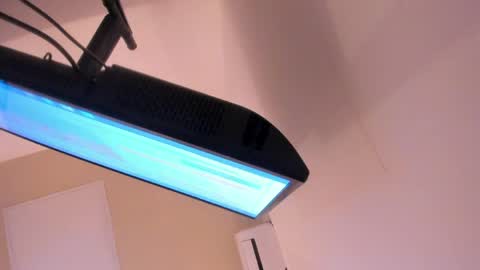 L I L A   online show from 03/30/26, 04:35