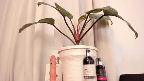 Lila online show from 01/15/25, 10:46