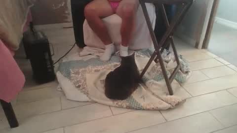 lildicksissy online show from 11/28/25, 05:59