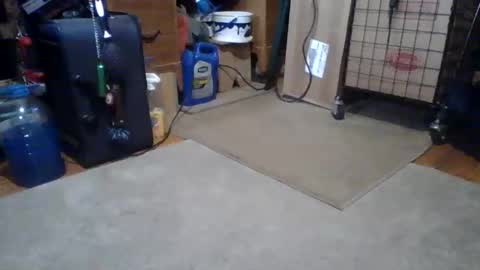 lildman420 online show from 03/14/26, 05:51