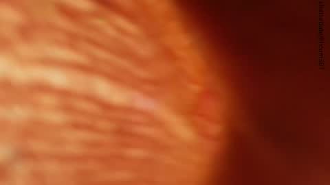 Snapshot of lilicum301 chatting on 11/24/25, 01:27 your love online show from 11/24/25, 01:27