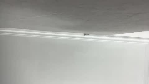 Lilith  online show from 11/11/25, 03:23