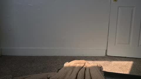 Snapshot of lilithoftrees chatting on 03/04/25, 04:30 L online show from 03/04/25, 04:30