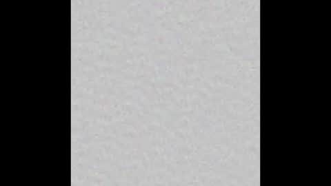 Lily online show from 10/19/25, 12:39