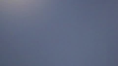 lillie_berry online show from 04/11/26, 08:18