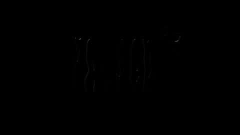 lilpresident online show from 01/23/25, 07:51