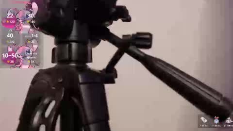 Snapshot of lily_beet chatting on 11/07/25, 03:50 Lily online show from 11/07/25, 03:50