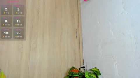   online show from 11/05/25, 06:08