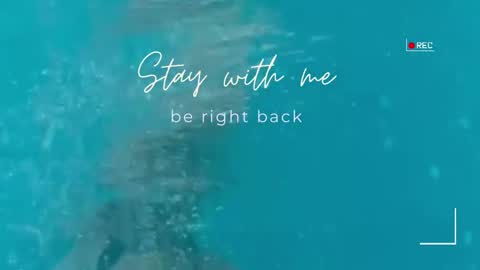 Lily online show from 03/06/26, 07:38