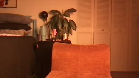Snapshot of lily_henry chatting on 06/19/26, 04:39 Little Lily online show from 06/19/26, 04:39