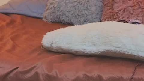 lily_sanderss online show from 01/19/26, 02:32