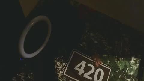 Snapshot of lilybvixen chatting on 02/25/26, 04:55 lilybvixen online show from 02/25/26, 04:55