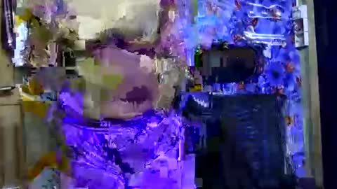 Snapshot of limaakter246618 chatting on 10/21/25, 04:41 limaakter246618 online show from 10/21/25, 04:41