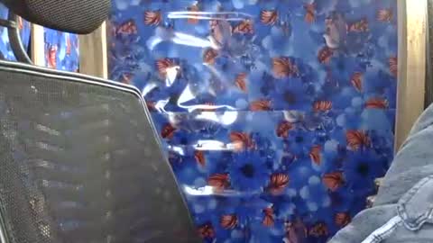 limaakter246618 online show from 02/16/26, 04:14