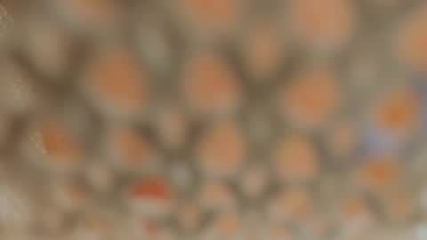 Lina Fanslymysensualworld online show from 01/05/25, 09:37