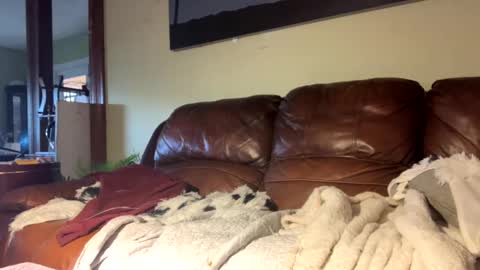 Snapshot of lincolnlongdick chatting on 12/06/24, 07:23 Richie Rich online show from 12/06/24, 07:23