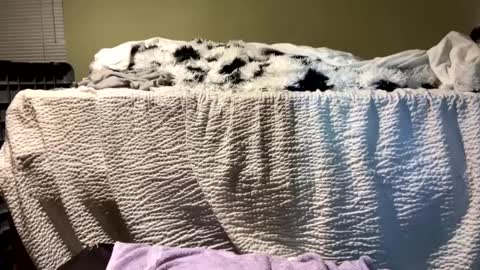 Snapshot of lincolnlongdick chatting on 12/13/24, 07:10 Richie Rich online show from 12/13/24, 07:10