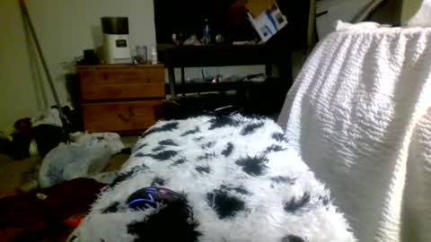 Snapshot of lincolnlongdick chatting on 12/30/24, 05:13 Richie Rich online show from 12/30/24, 05:13