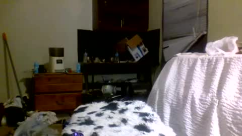 Snapshot of lincolnlongdick chatting on 12/30/24, 08:15 Richie Rich online show from 12/30/24, 08:15