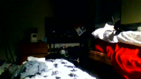 Snapshot of lincolnlongdick chatting on 12/30/24, 11:17 Richie Rich online show from 12/30/24, 11:17