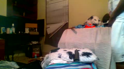 Snapshot of lincolnlongdick chatting on 01/05/25, 08:22 Richie Rich online show from 01/05/25, 08:22