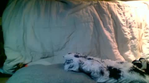 Snapshot of lincolnlongdick chatting on 01/13/25, 02:39 Richie Rich online show from 01/13/25, 02:39