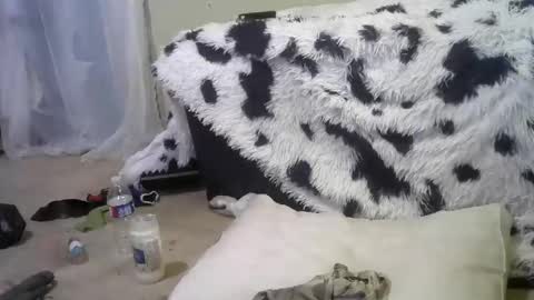 Snapshot of lincolnlongdick chatting on 02/18/25, 12:28 Richie Rich online show from 02/18/25, 12:28