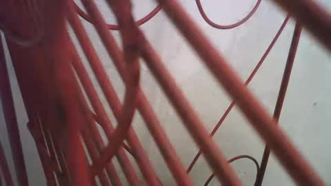 Snapshot of lincolnlongdick chatting on 10/11/25, 05:00 Richie Rich online show from 10/11/25, 05:00