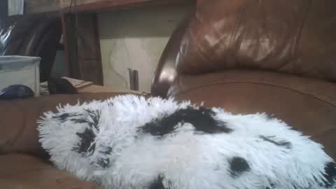 Richie Rich online show from 02/20/26, 08:31