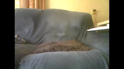 Snapshot of lion160868 chatting on 10/26/25, 10:32 lion160868 online show from 10/26/25, 10:32