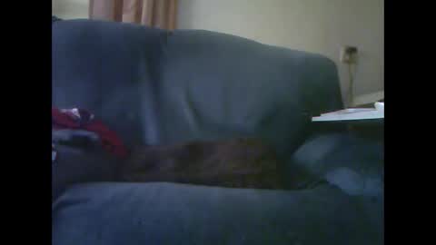 Snapshot of lion160868 chatting on 11/28/25, 09:23 lion160868 online show from 11/28/25, 09:23