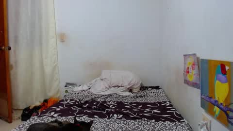 Snapshot of lion_grr chatting on 12/16/25, 02:16 lion_grr online show from 12/16/25, 02:16