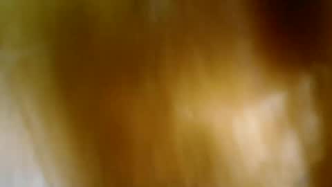 Snapshot of lirpa1997 chatting on 07/10/26, 11:29 April online show from 07/10/26, 11:29